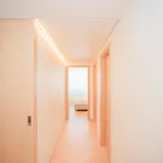 Allegro Boutique By Liiiving شقة *